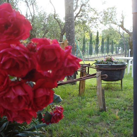 Agriturismo La Fattoria San Donato Val di Comino Buitenkant foto