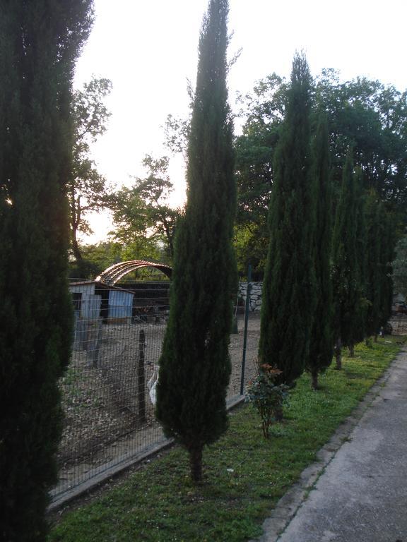 Agriturismo La Fattoria San Donato Val di Comino Buitenkant foto