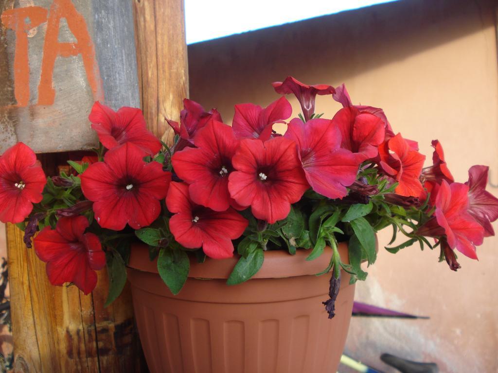 Agriturismo La Fattoria San Donato Val di Comino Buitenkant foto