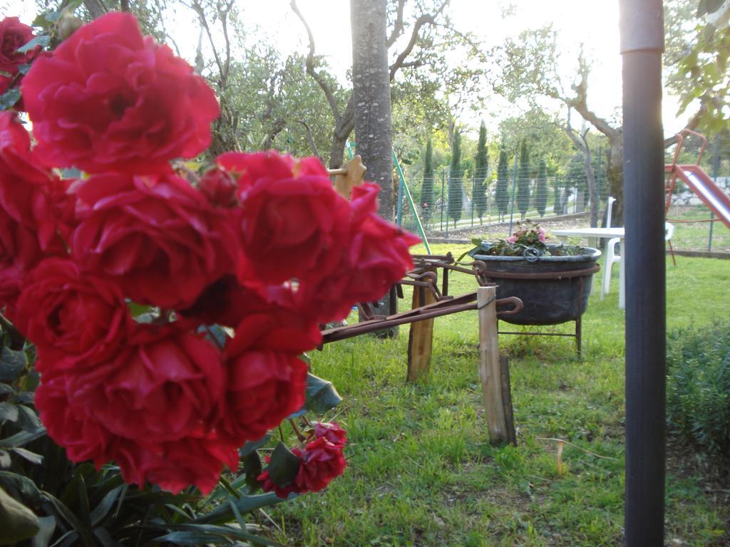 Agriturismo La Fattoria San Donato Val di Comino Buitenkant foto